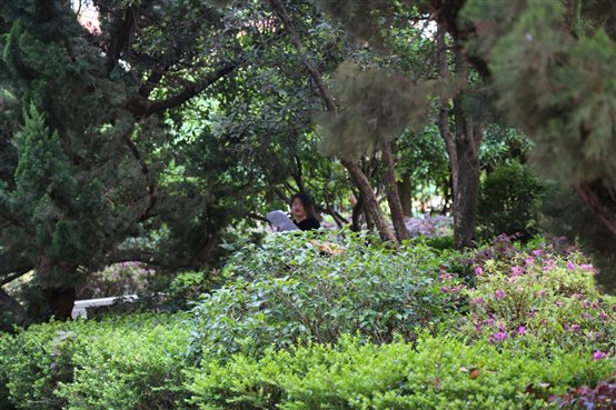 C:\Users\qj2z149\Desktop\二中校園照片\公眾號(hào)圖片\13.JPG