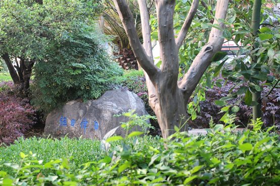 C:\Users\qj2z149\Desktop\二中校園照片\公眾號(hào)圖片\7.JPG