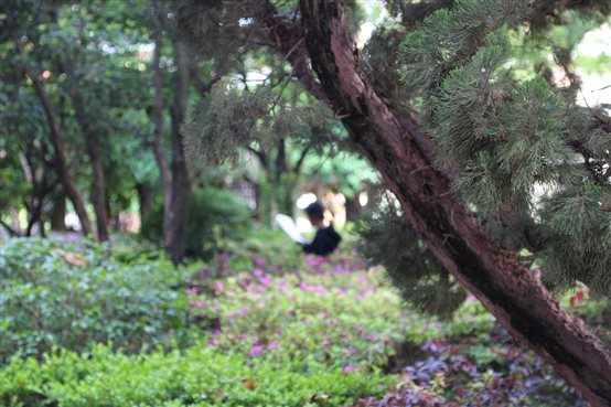 C:\Users\qj2z149\Desktop\二中校園照片\公眾號(hào)圖片\18.JPG